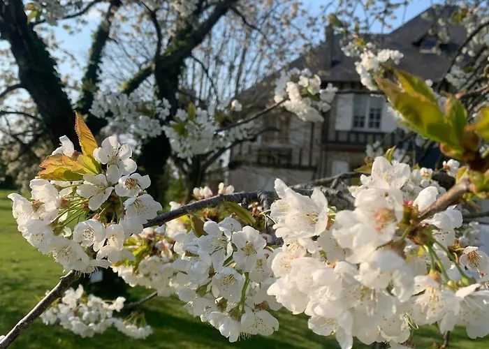 Grande Maison Normande De 250 M2 1ha - Apercu *