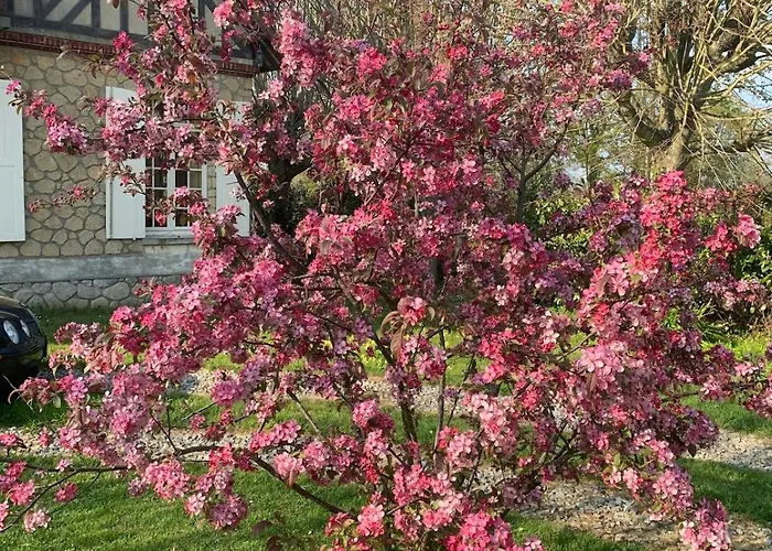 Grande Maison Normande De 250 M2 1ha - Apercu Villa Auberville