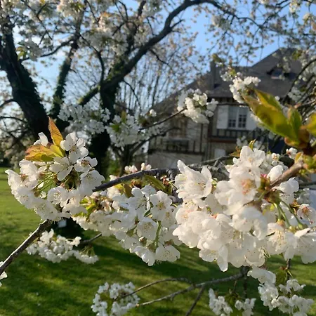 Grande Maison Normande De 250 M2 1ha - Apercu *
